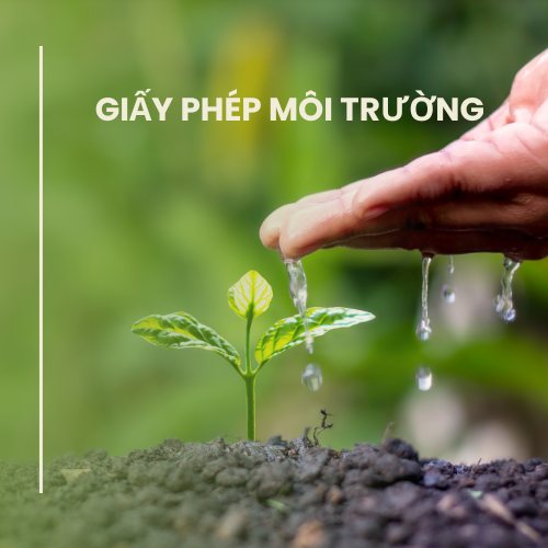 Tư vấn & Hồ sơ môi trường